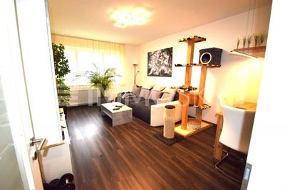 /international/at/freistadt-upper-austria-310108046280/
