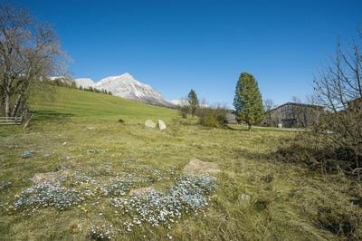 /international/at/ellmau-tyrol-310110425563/