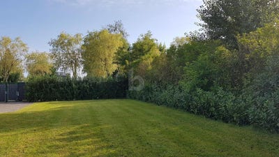 /international/at/neusiedl-am-see-burgenland-310120478391/