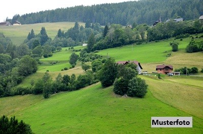 /international/at/st-martin-am-silberberg-huttenberg-carinthia-310101560007/
