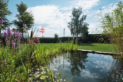 /international/at/henndorf-am-wallersee-salzburg-310109868848/