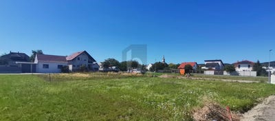 /international/at/purbach-am-neusiedler-see-burgenland-310108368263/