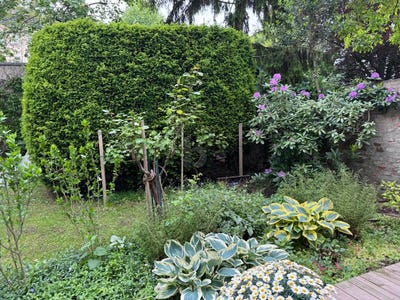 /international/at/wien-vienna-310108262654/