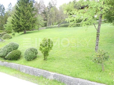 /international/at/scheffau-am-tennengebirge-salzburg-310108756178/