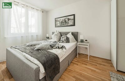 /international/at/vienna-vienna-310120642963/