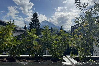 /international/at/elsbethen-glasenbach-salzburg-310119672461/