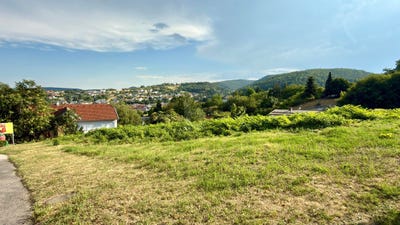 /international/at/wiesen-burgenland-310120598940/