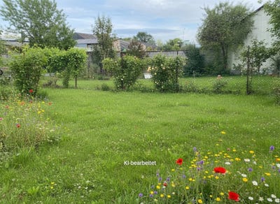 /international/at/gols-burgenland-310120491110/