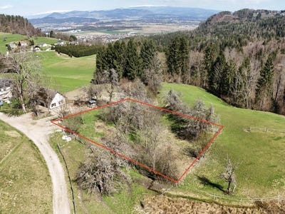 /international/at/ebenthal-in-karnten-carinthia-310101080401/