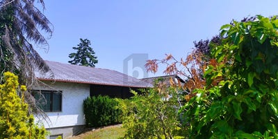 /international/at/sollenau-lower-austria-310120433214/