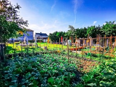 /international/at/sollenau-lower-austria-310119949910/