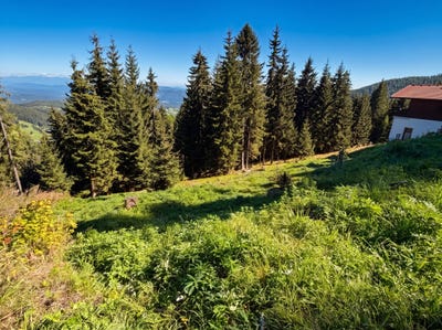 /international/at/hochrindl-hochrindl-carinthia-310110282643/