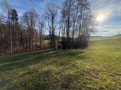 /international/at/garsten-upper-austria-310108003848/