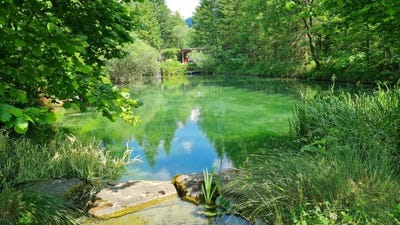 /international/at/ybbsitz-lower-austria-310101032885/?lang=zh-tw