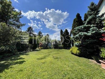 /international/at/guntramsdorf-lower-austria-310108922107/