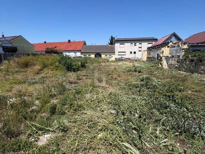 /international/at/wilfleinsdorf-lower-austria-310109123541/