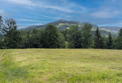 /international/at/westendorf-tyrol-310105648979/
