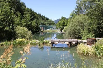 /international/at/ybbsitz-lower-austria-310100933861/?lang=en