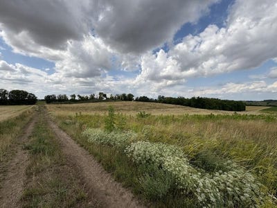 /international/at/ringelsdorf-niederabsdorf-lower-austria-310100875376/?lang=zh-cn