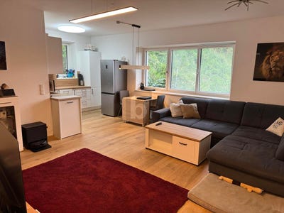 /international/at/steyr-upper-austria-310109045860/