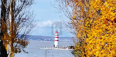 /international/at/podersdorf-am-see-burgenland-310108111016/