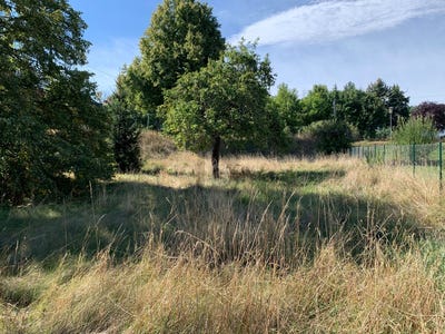 /international/at/bad-sauerbrunn-burgenland-310108419847/