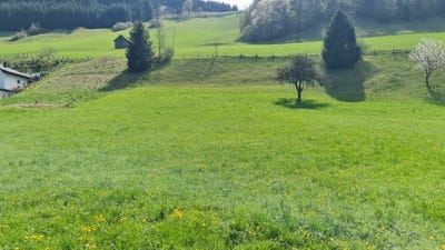 /international/at/grossraming-upper-austria-310108756736/