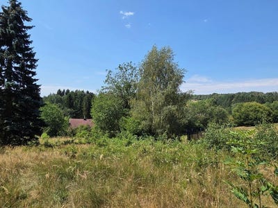 /international/at/pressbaum-lower-austria-310120504626/