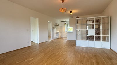 /international/at/oggau-burgenland-310108482134/