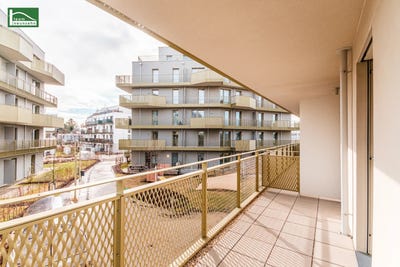 /international/at/vienna-vienna-310120677534/