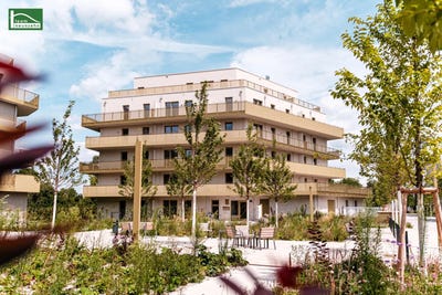 /international/at/vienna-vienna-310120676444/