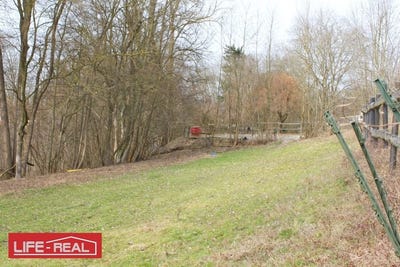 /international/at/wels-upper-austria-310120674333/