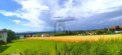 /international/at/hornstein-burgenland-310101044037/?lang=it