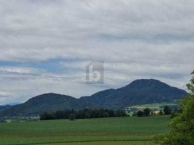 /international/at/maria-saal-carinthia-310120429292/