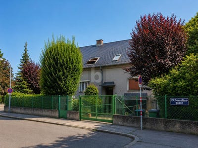 /international/at/wien-vienna-310120656950/