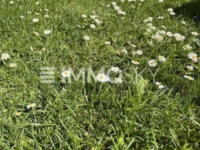 /international/at/zeiselmauer-wolfpassing-lower-austria-310101275126/?lang=en