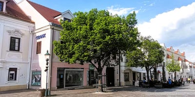 /international/at/eisenstadt-burgenland-310108559226/