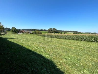 /international/at/feldkirchen-bei-mattighofen-upper-austria-310110348609/