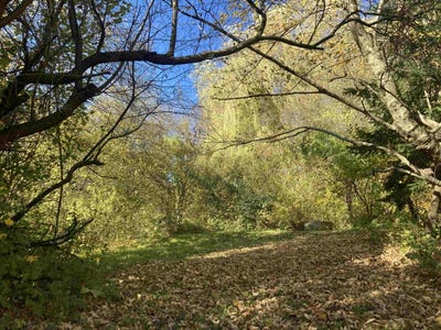 /international/at/purkersdorf-lower-austria-310120502309/