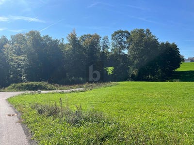 /international/at/garsten-upper-austria-310108642371/