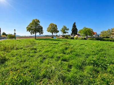 /international/at/leobendorf-lower-austria-310120702144/