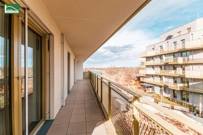 /international/at/vienna-vienna-310120764484/