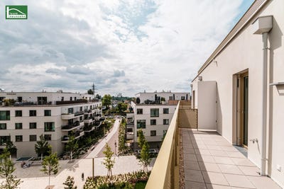 /international/at/vienna-vienna-310120642795/