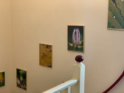 /international/at/felix-dahn-strasse-vienna-vienna-310093831559/