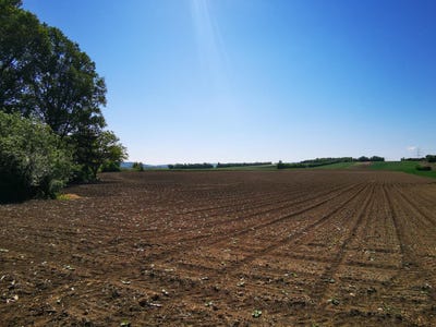 /international/at/ruckersdorf-harmannsdorf-lower-austria-310120595630/