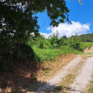 /international/at/langenzersdorf-lower-austria-310120503743/