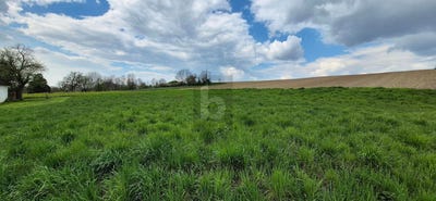 /international/at/prinzersdorf-lower-austria-310120432185/