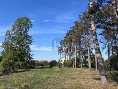 /international/at/ganserndorf-lower-austria-310120478273/