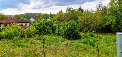 /international/at/steinabruckl-lower-austria-310108523007/