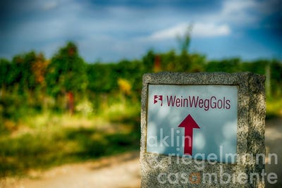 /international/at/gols-burgenland-310109911712/